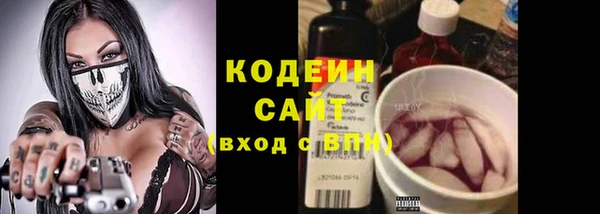 индика Белоозёрский