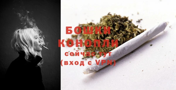 индика Белоозёрский
