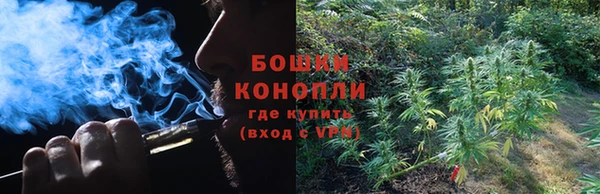 индика Белоозёрский