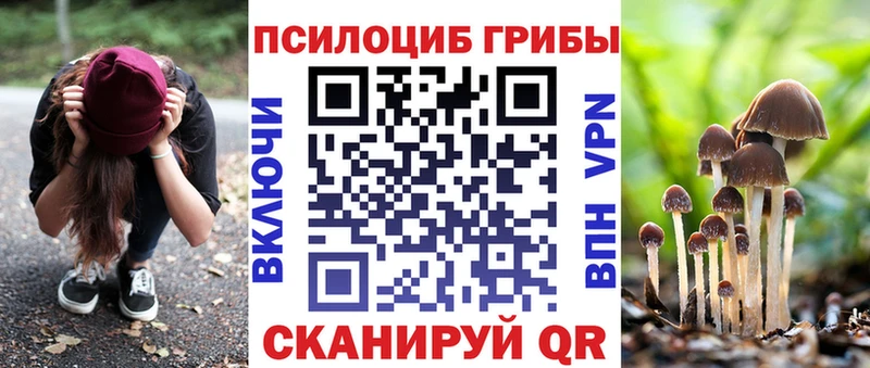 Псилоцибиновые грибы мицелий Шумерля
