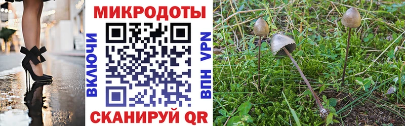 omg вход  Шумерля  Галлюциногенные грибы Cubensis 